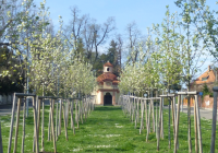 Křížová cesta u kaple Nejsvětější Trojice